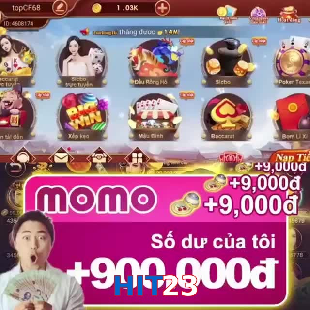 HIT23