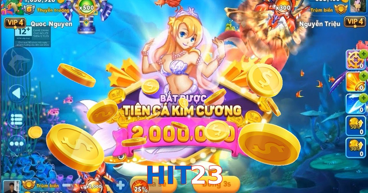 HIT23