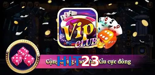 HIT23