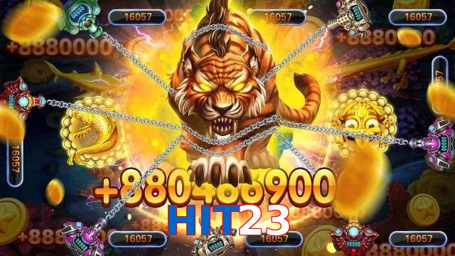 HIT23