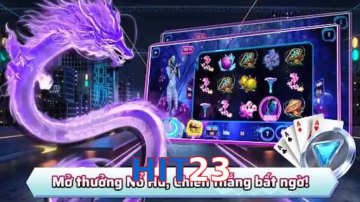 HIT23
