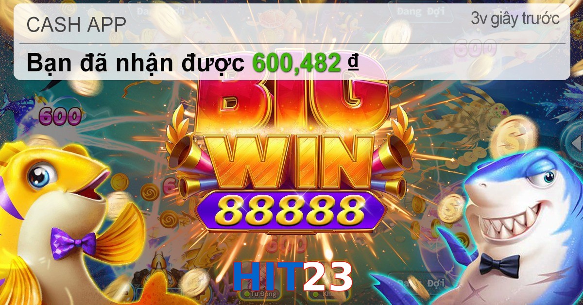 HIT23