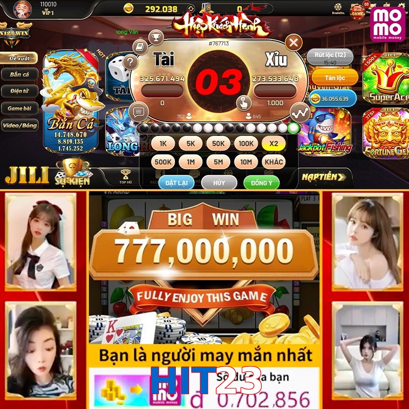 HIT23